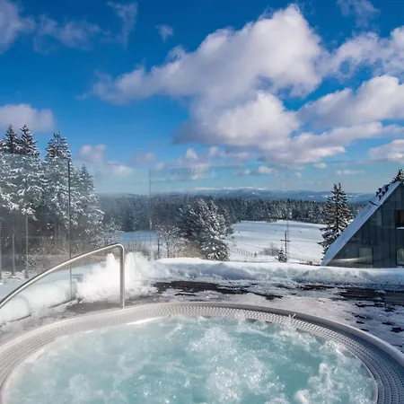 Lägenhetshotell Kralovka 4*
